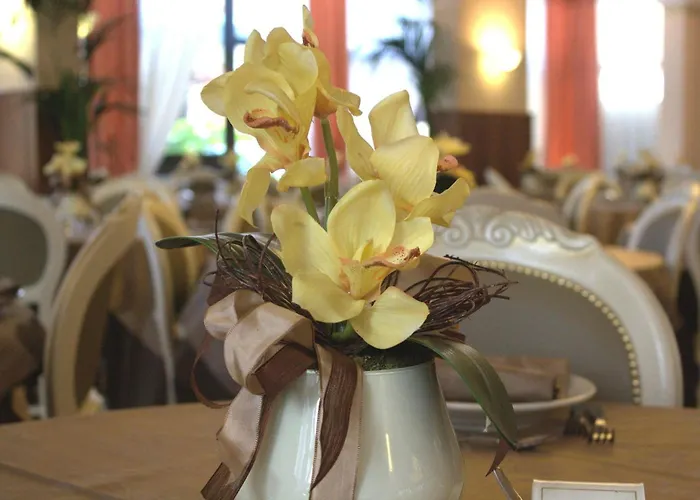 Hotel Donatella Pinarella